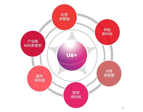 探究用友U8財務管理軟件價格與廣告代理業務