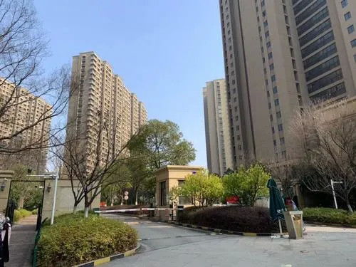農村自建房與商品房的抉擇 我為何選擇了自建房，如今生活瀟灑得很